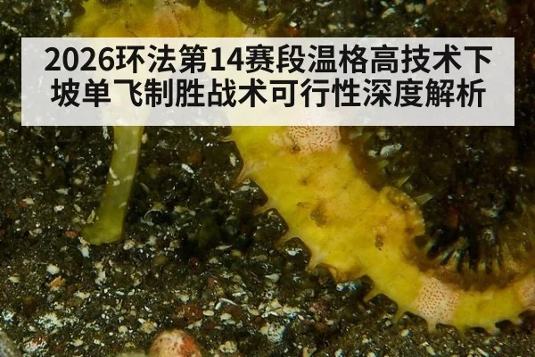 2026环法第14赛段温格高技术下坡单飞制胜战术可行性深度解析