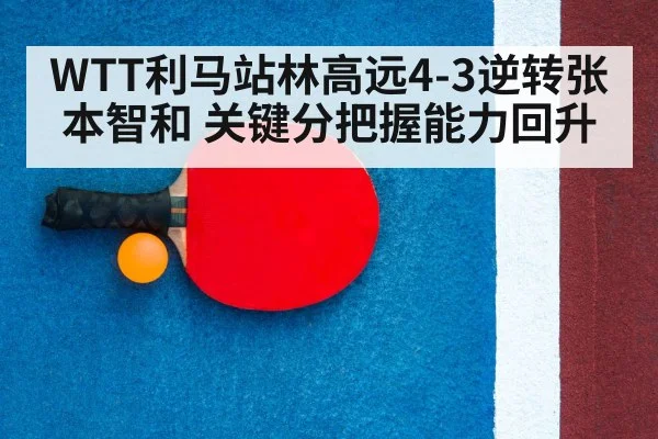 table tennis racket close up